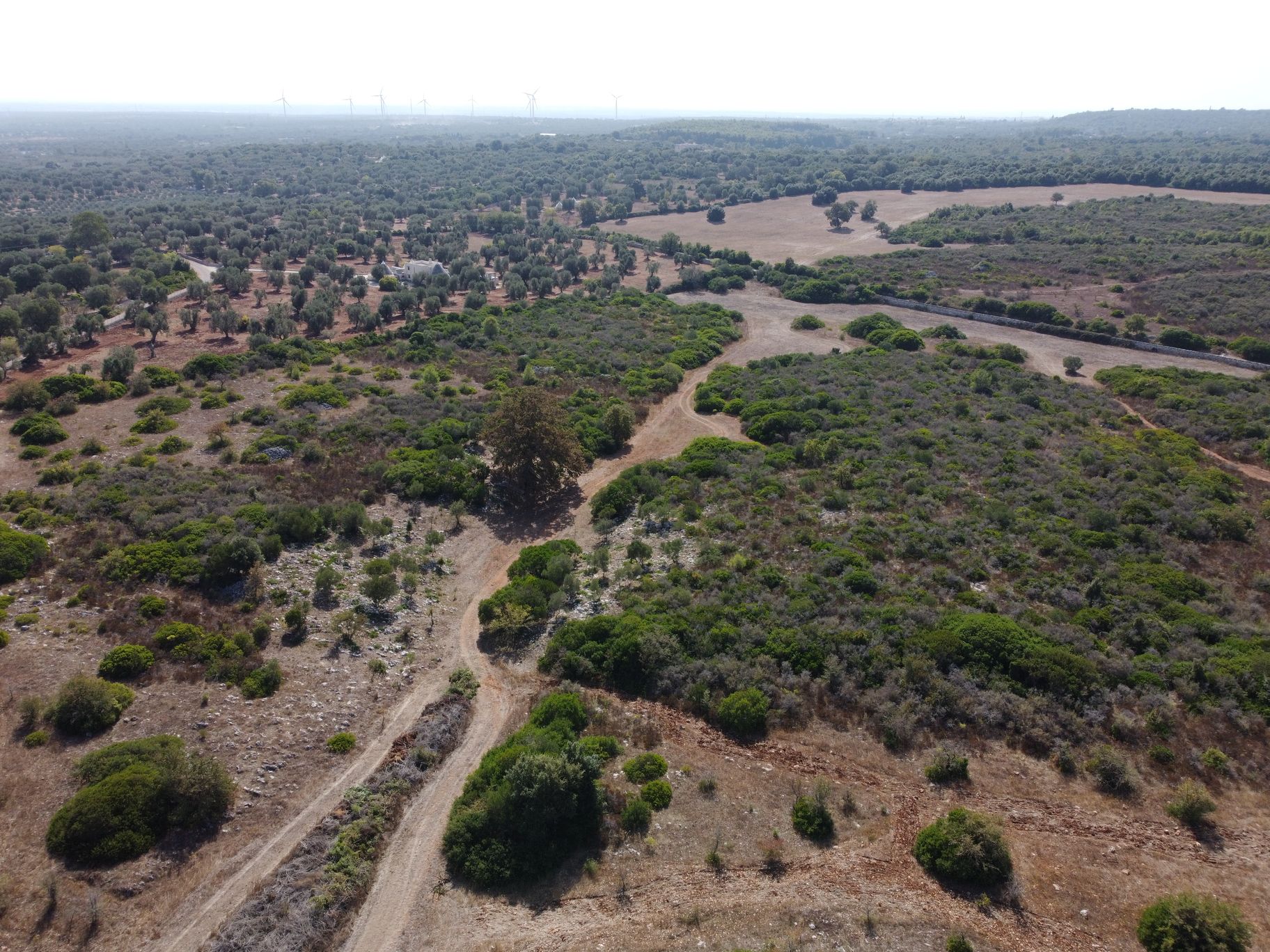 Gli sterrati del parco, che si diramano nella macchia