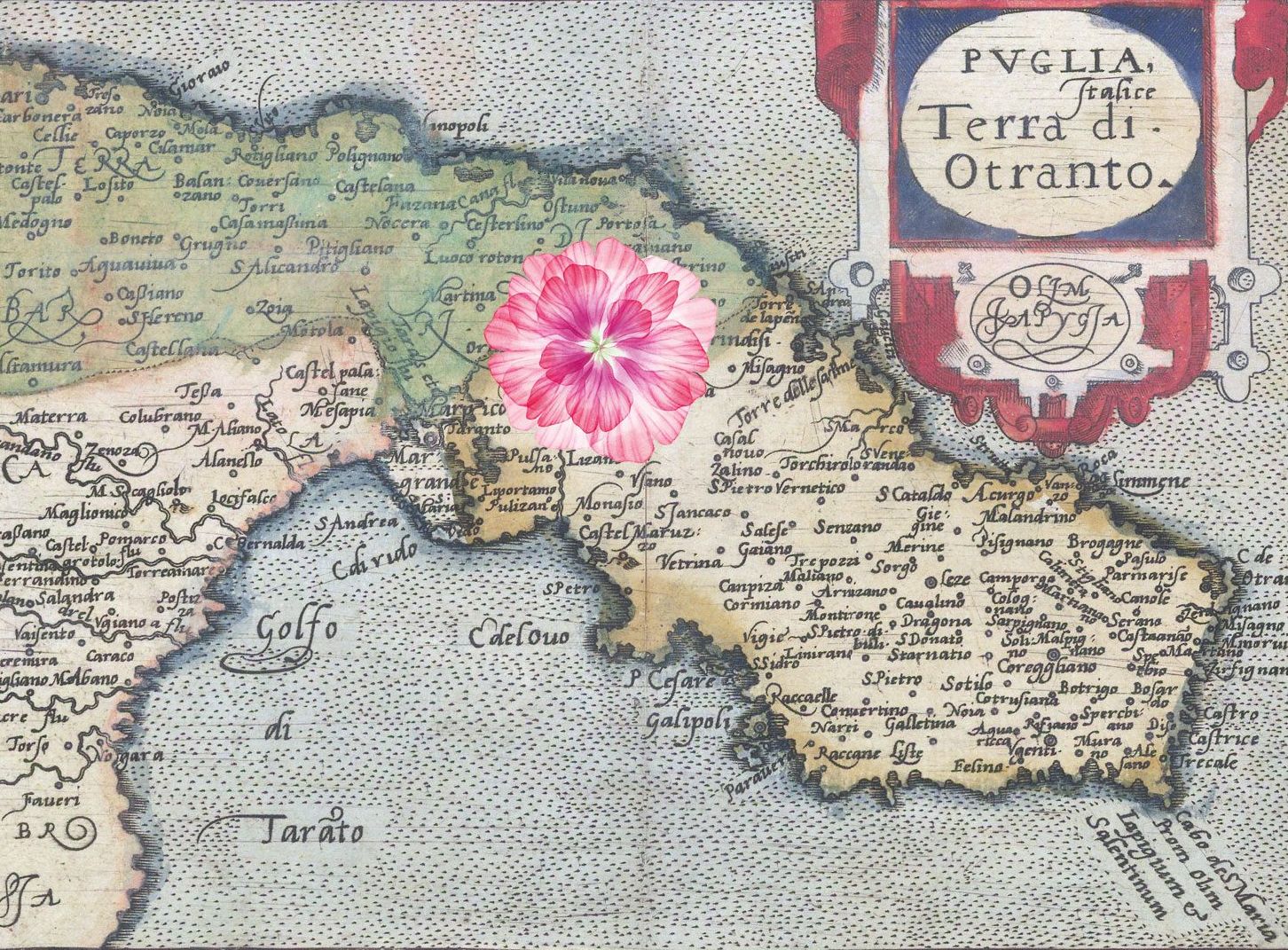La Terra d'Otranto in una carta antica, con un fiore su Ceglie