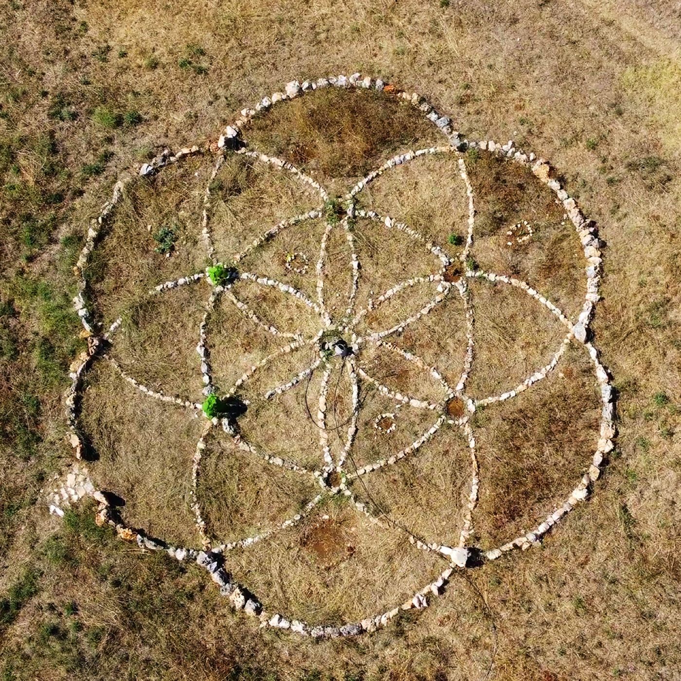 Il fiore della vita, in pietre bianche · land art