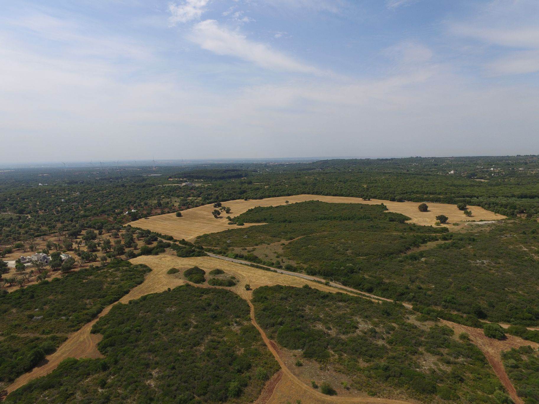 Il parco dall’alto: macchia, prati e ulivi fino all’orizzonte