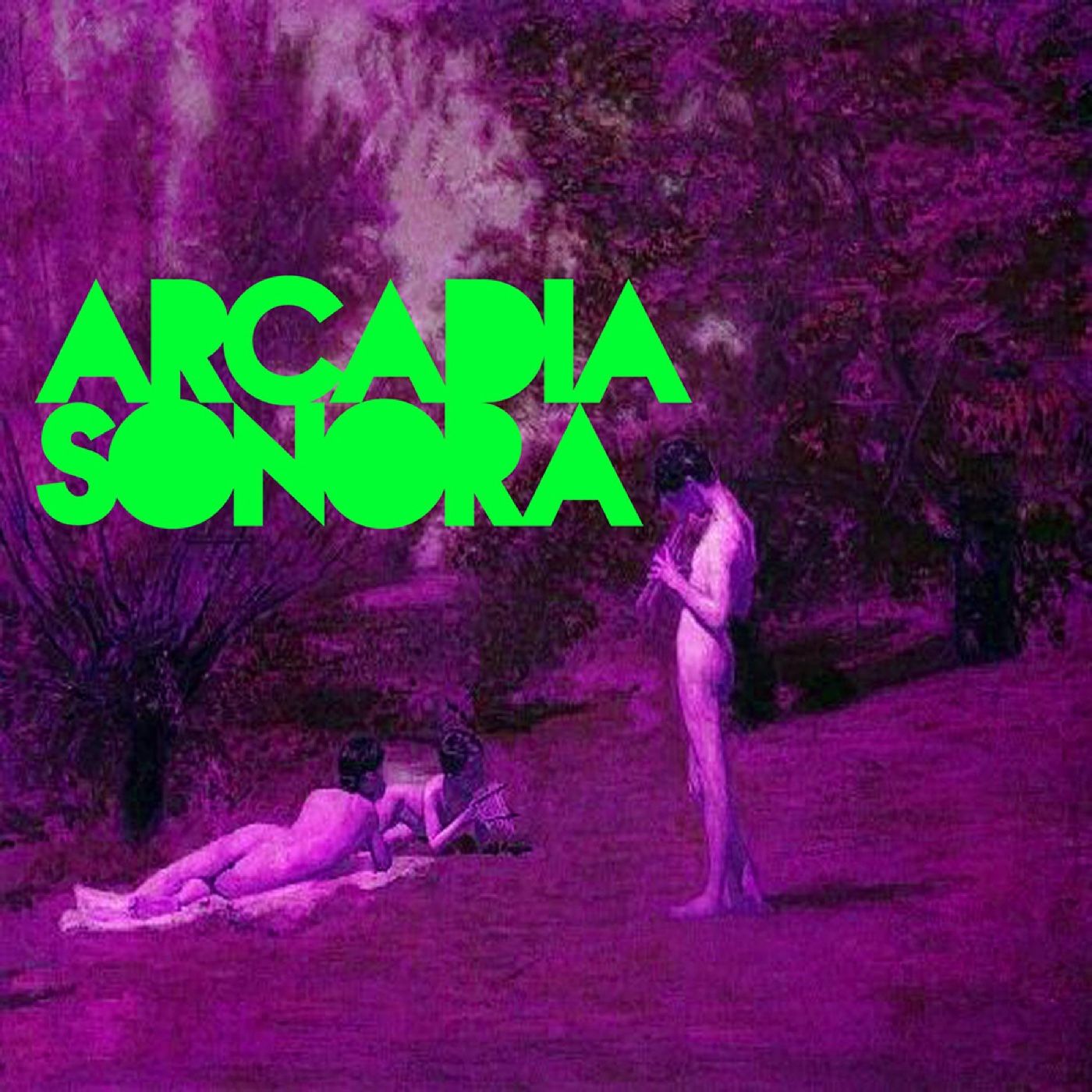 Arcadia Sonora Festival, 2014.