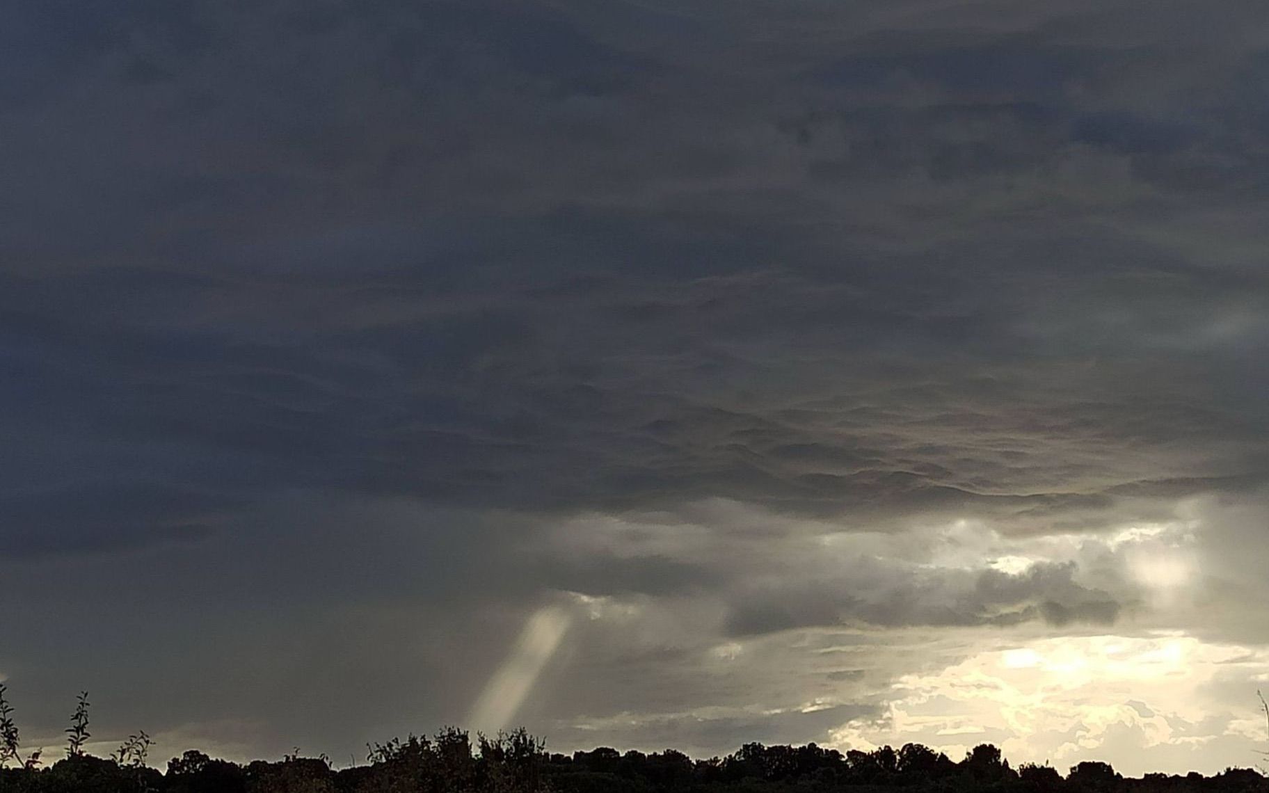 Il cielo sopra il parco