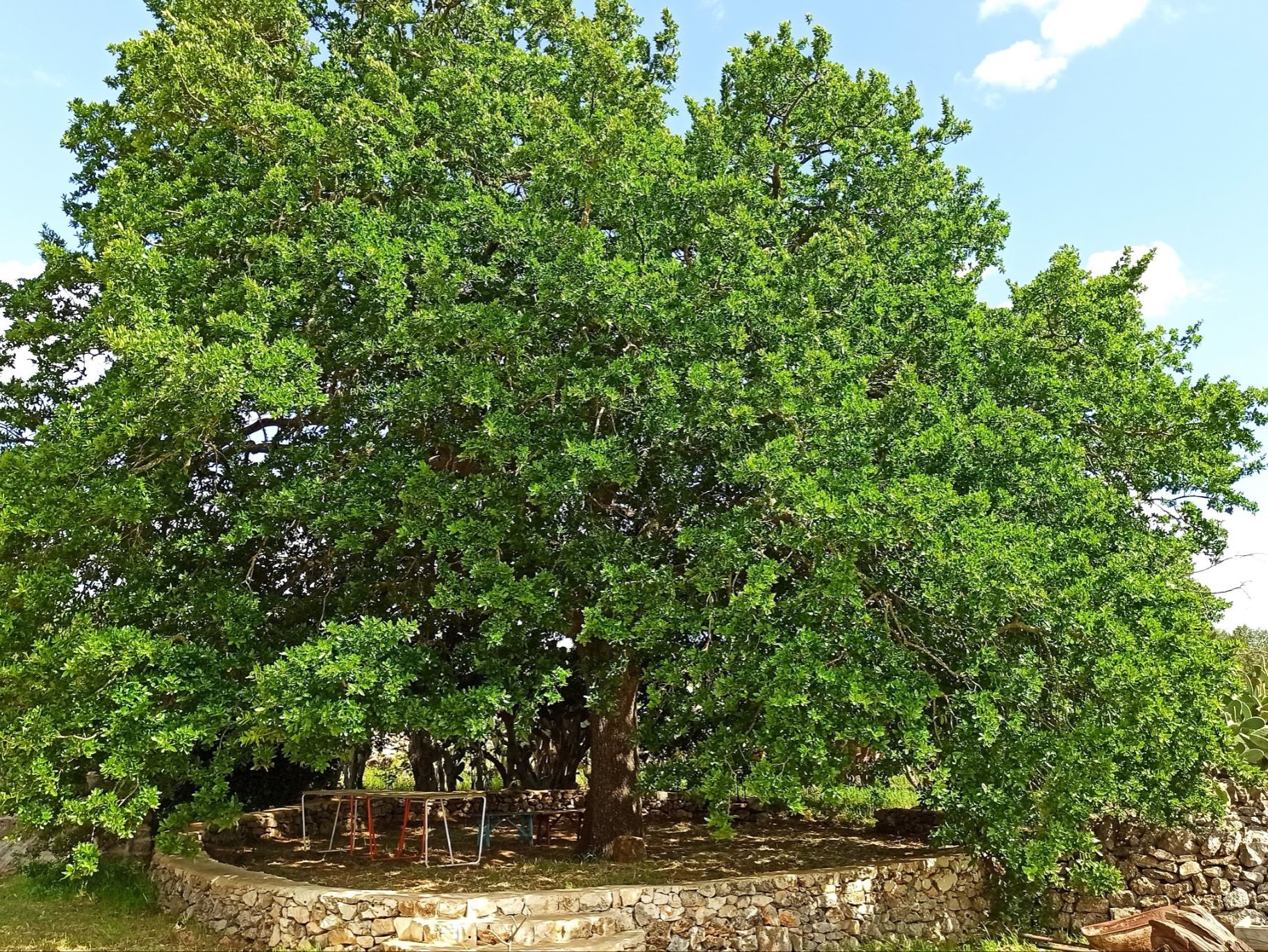 Il parco della Masseria LoJazzo, nelle stagioni